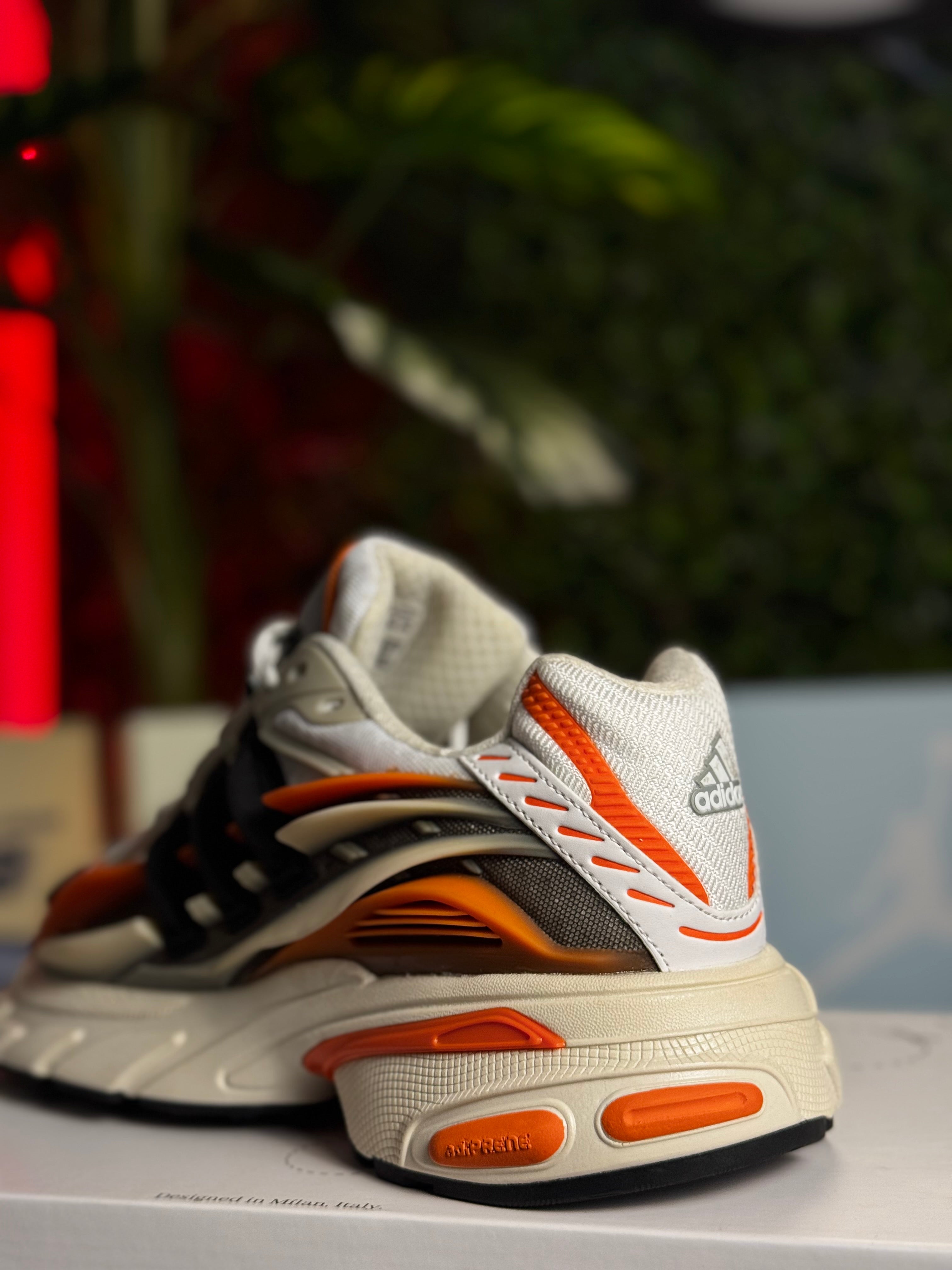 Adidas JellyFish